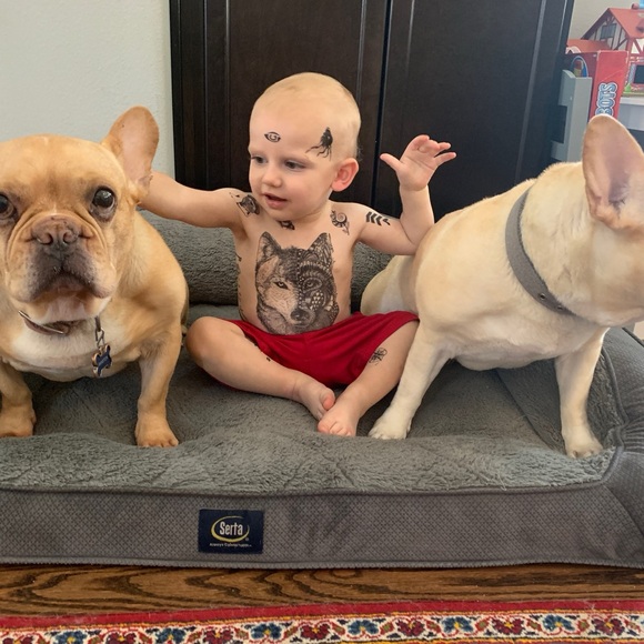 Meet your Posher, Linda - Picture 14 of 16